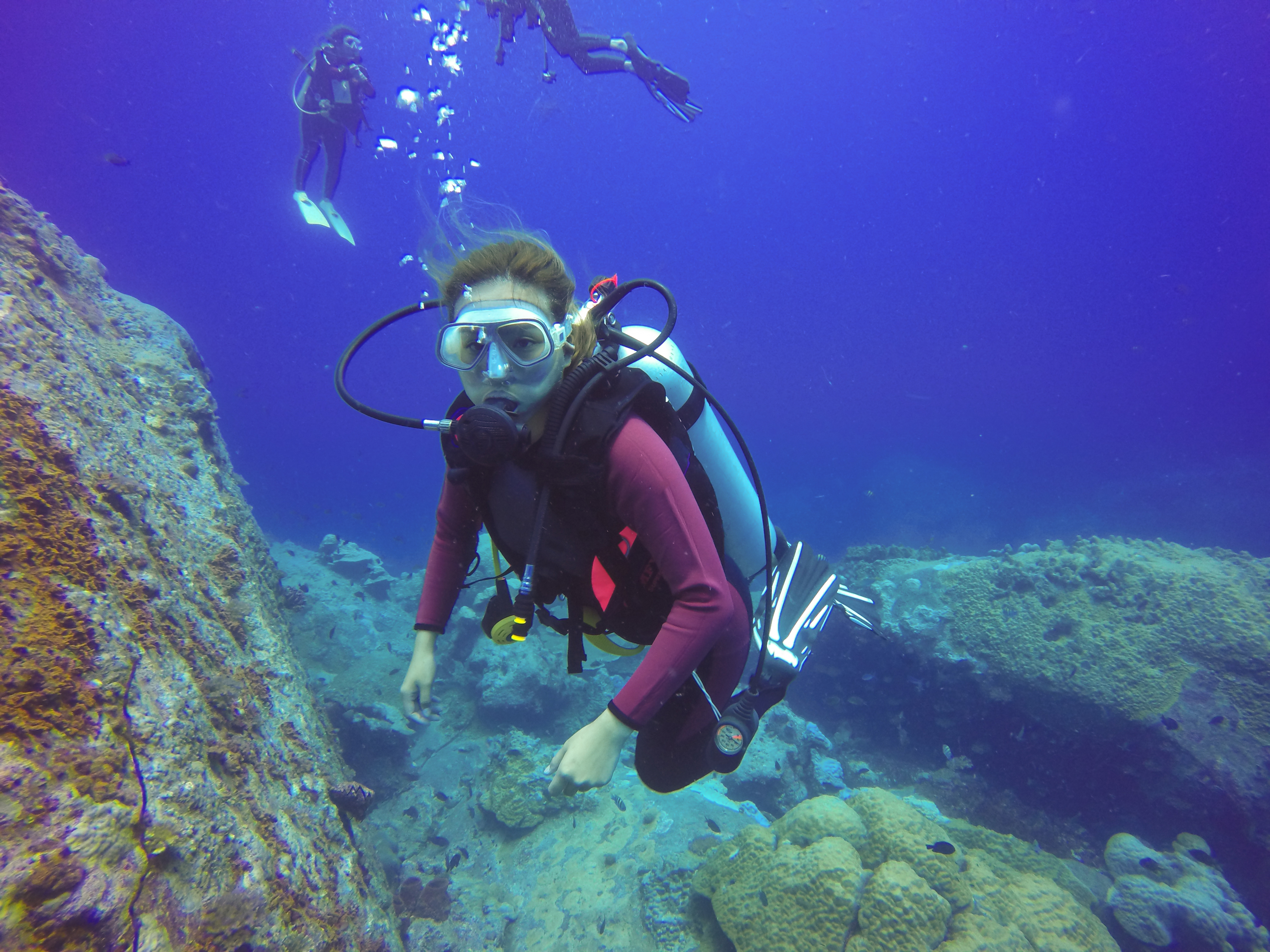 Professional Diving